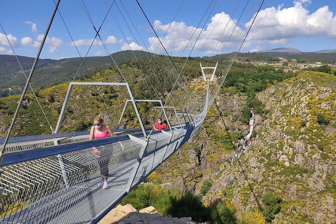 From Porto: Aveiro, Paiva Walkways, Suspension Bridge and Lunch - Tour Itinerary and Activities