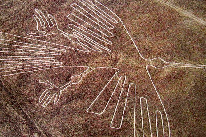 Full Day Nazca Lines, Huacachina Oasis With Buggy and Sandboard - Aerial View of the Nazca Lines