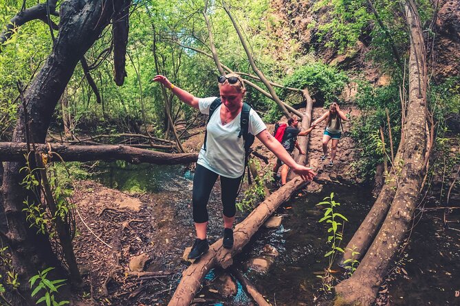 Full Day Rainforest Tour With Tasting and Swimming Time ツ - Transportation and Logistics