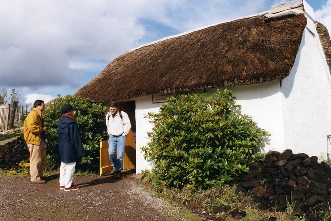 Full-Day Ring of Kerry Tour From Killarney - Accessibility and Group Size