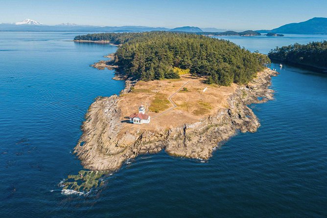 Full Day San Juan Island Kayaking Adventure - Wildlife Experiences