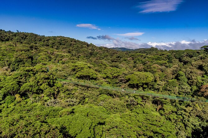 Full Monteverde Cloud Forest Experience With Ziplining. - Tour Logistics