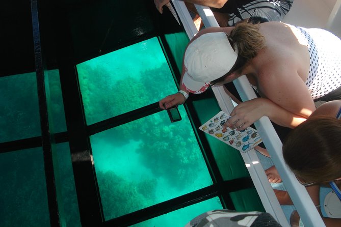 Glass-Bottom Boat Cruise From Waikoloa - Wildlife and Sightings