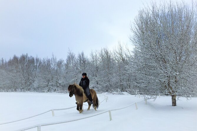 Golden Circle, Fridheimar Farm & Horses Small Group Tour From Reykjavik - Itinerary and Stops