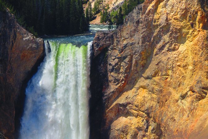 Grand Canyon of the Yellowstone Rim and Loop Hike With Lunch - Guided Tour Features