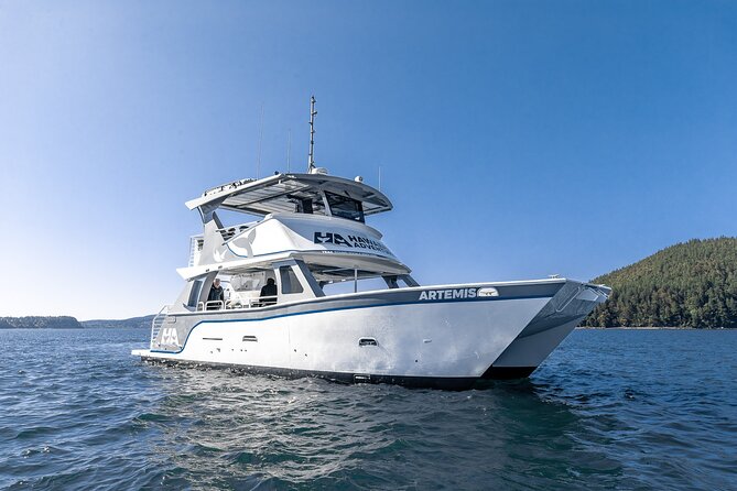 Guaranteed Dolphin and Whale Watch Tour in Kona - Tour Details
