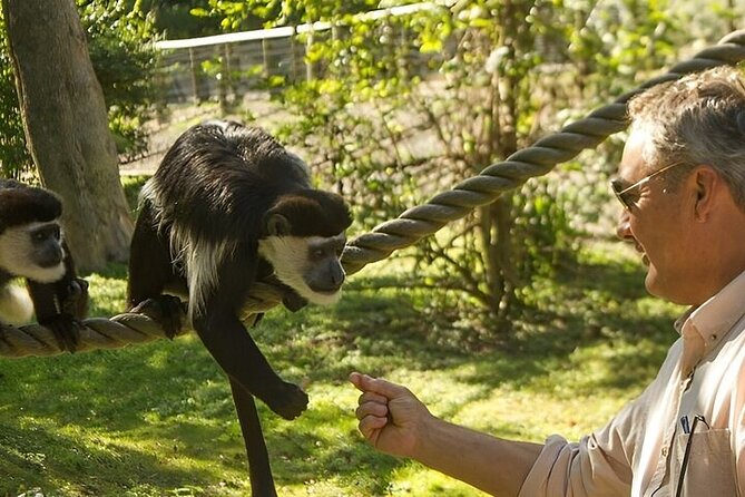 Guided Jungle Adventure With Gatun Lake Cruise - Meeting Points and Pickup Options