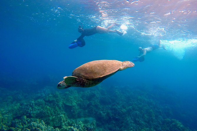 Guided Sea Scooter Snorkeling Tour Wailea Beach - Meeting and Logistics