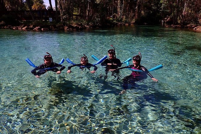 Guided Small Group Manatee Snorkeling Tour With In-Water Photographer - Meeting and Safety Protocol