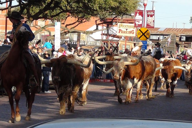 Half-Day Best of Fort Worth Historical Tour With Transportation From Dallas - Transportation and Meeting Point
