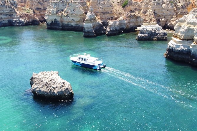 Half Day Cruise to Ponta Da Piedade With Lunch and Drinks - Activities and Experience