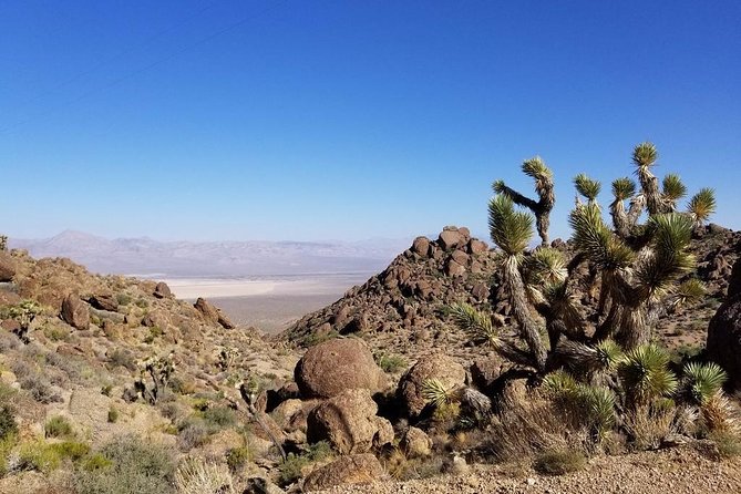 Half-Day Electric Bike Tour of Red Rock Canyon - Accessibility and Group Size