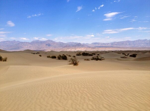 Half-Day Mojave Desert ATV Tour From Las Vegas - Meeting and Pickup