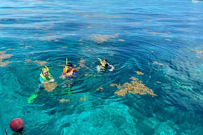 Half Day Snorkel Trip on Reefs in the Florida Keys - Itinerary and Experience