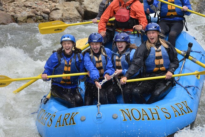 Half-Day Whitewater Rafting in Browns Canyon - Safety Considerations and Requirements