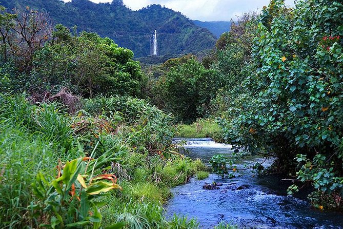 Hana Rainforest Helicopter Flight With Landing From Maui - Tour Details