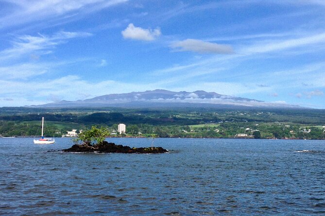Hawaii Volcanoes National Park and Hilo Highlights Small Group Tour - Discovering Hilos Highlights