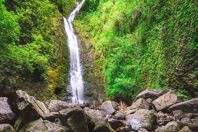 Hike Trail to Waterfall & Nature Walk - Hiking Experience