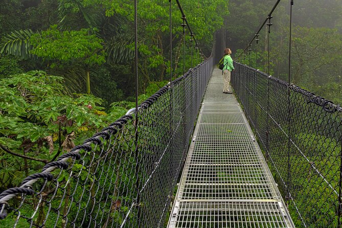 Hiking Lovers (Hanging Bridges + La Fortuna Waterfall + Volcano Hike) - Exploring the Hanging Bridges
