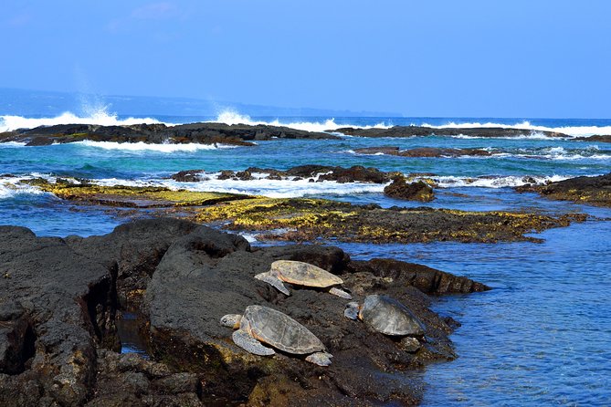 Hilo Shore Excursion: Volcanoes National Park and Rainbow Falls - Itinerary and Activities