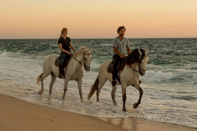 Horse Riding on the Beach - Breathtaking Scenery Along the Coastline