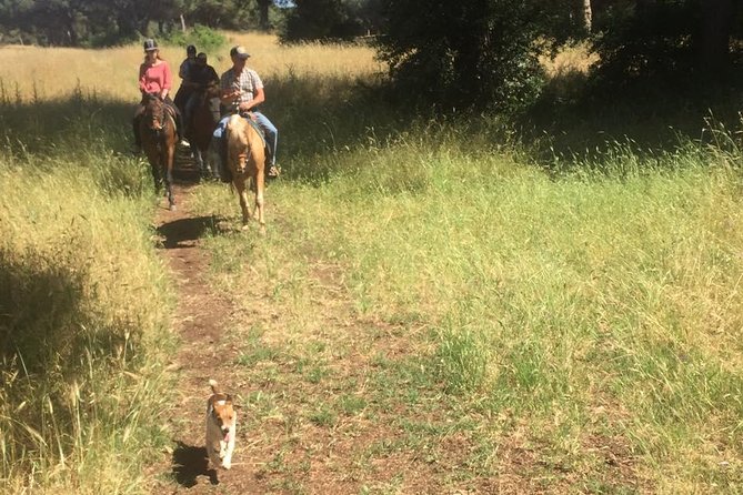 Horse Riding Trail With Breakfast in Ancient Rome - Tour Details and Inclusions