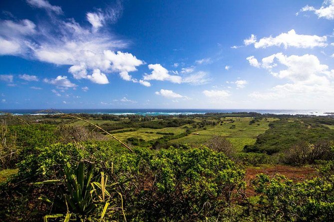 Horseback Ride Like an Authentic Paniolo in Kahuku - Health and Safety Information