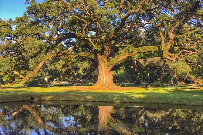 Houmas House Plantation Guided Tour - Historical Significance and Sugar Production
