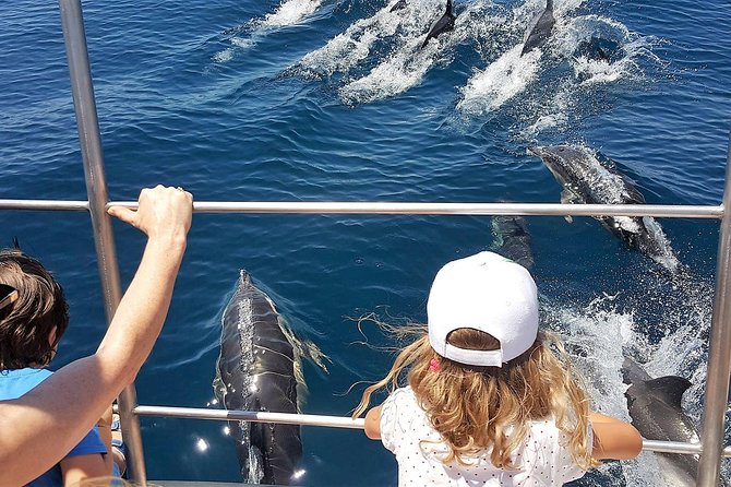 Incredible Dolphin Watching Experience on Our Family Friendly Catamaran - Lagos - Sightseeing Opportunities on the Tour