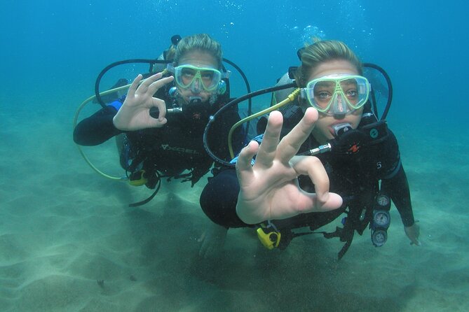 Intro Dive Kaanapali Swim Ability Required - Meeting and Pickup Information