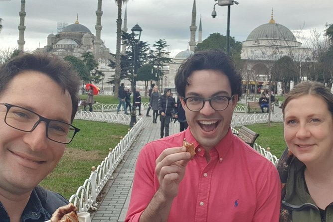 Istanbul Private Guided Tour for Layover Flight. Transfer Incl. - Transfer and Logistics