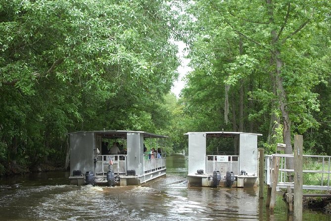 Jean Lafitte 90-Minute Swamp and Bayou Boat Tour - Customer Reviews