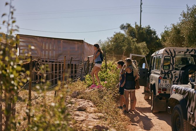 Jeep Safari Tour - Full Day - Inclusions and Logistics