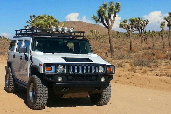 Joshua Tree National Park Scenic Tour - Highlights of the Joshua Tree National Park
