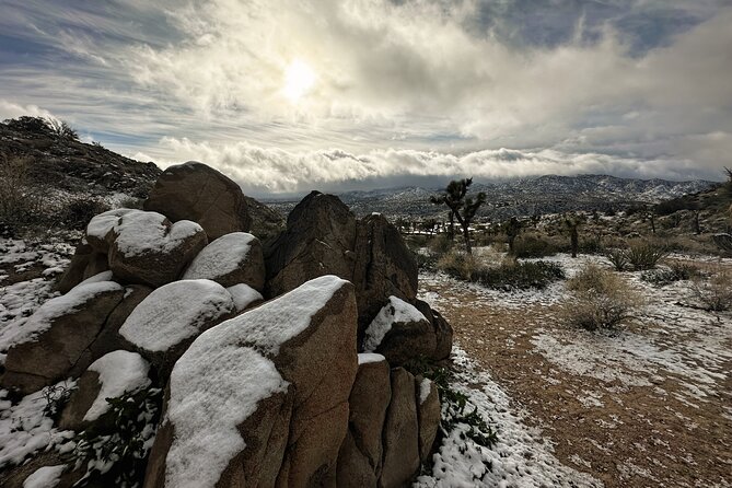 Joshua Tree National Park Self-Guided Driving Audio Tour - Pricing and Value
