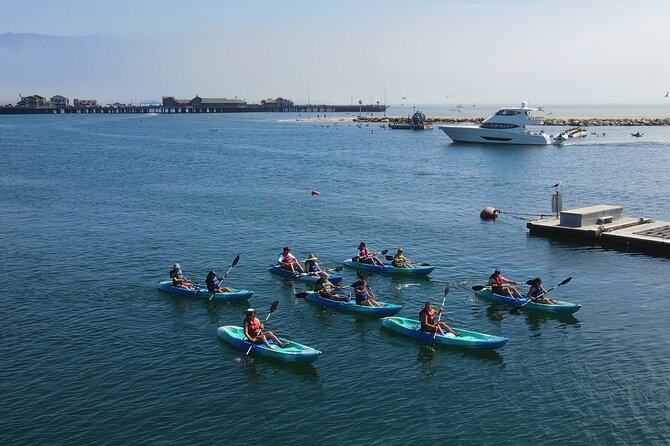 Kayak Tour of Santa Barbara With Experienced Guide - Highlights of the Scenic Coastline