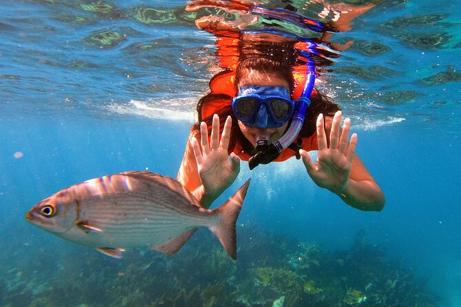 Key Largo Two Reef Snorkel Tour - All Snorkel Equipment Included! - Safety and Requirements