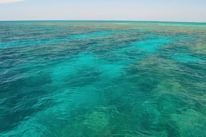 Key West Reef Snorkel & Sail Adventure - Safety Considerations and Requirements