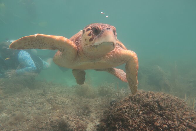 Key West SNUBA Experience - Inclusions and Costs