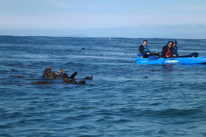 La Jolla Sea Caves Kayak Tour For Two (Tandem Kayak) - Equipment and Safety