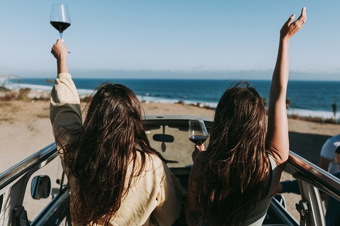 Los Angeles: Private Vintage VW Bus Tour in Malibu - Experience Highlights
