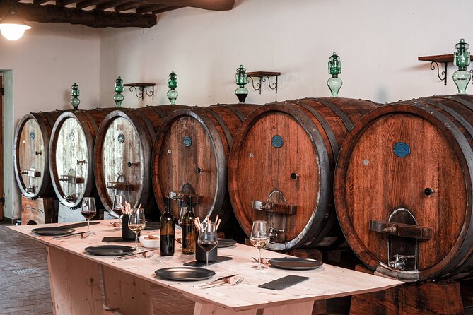 Lucca: Wine Tasting Experience - Tenuta Adamo Winery - Experience Highlights