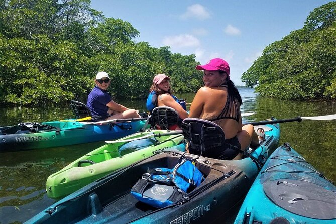 Mangrove Tunnel Kayak Adventure in Key Largo - Snorkeling Opportunities