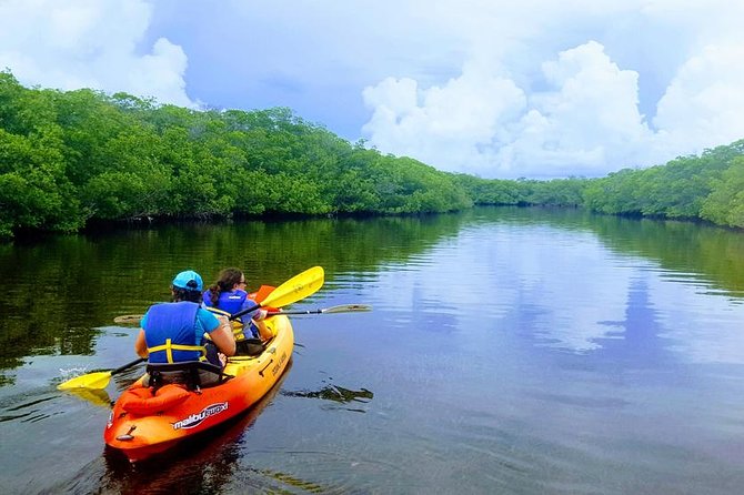 Mangroves and Manatees - Guided Kayak Eco Tour - Preparing for the Kayak Adventure: Meeting Point and Arrival Time