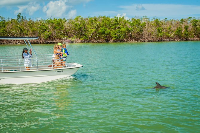 Marco Island Dolphin Sightseeing Tour - Booking and Cancellation