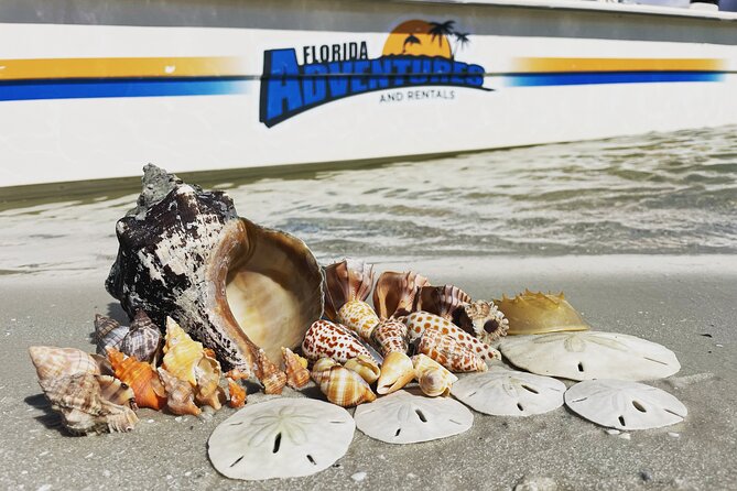 Marco Island Wildlife Sightseeing and Shelling Tour - Accessibility and Requirements