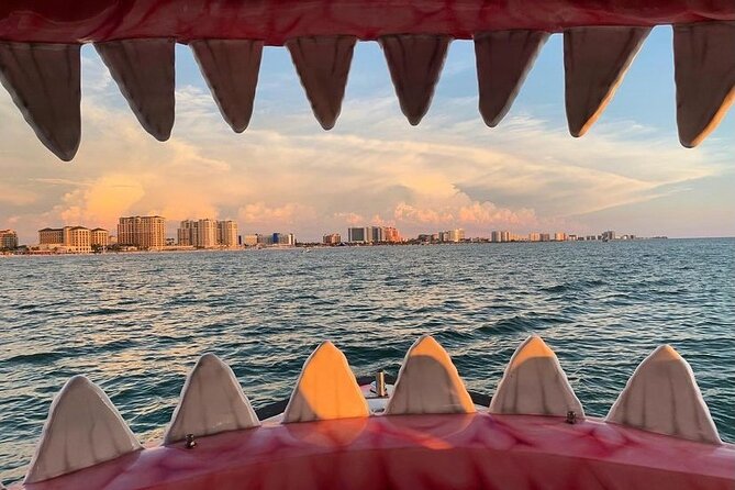 Mega Bite Dolphin Tour Boat in Clearwater Beach - Exploring the Unique Vessel
