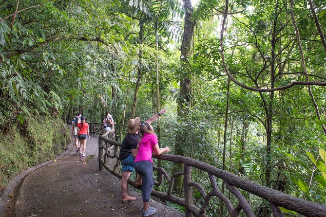 Mistico Hanging Bridges AM or PM, Guide & Transport - Wildlife and Learning Experience