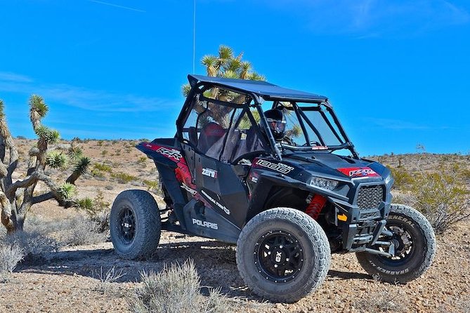 Mojave Desert Off Road RZR Tour in Las Vegas - Whats Included
