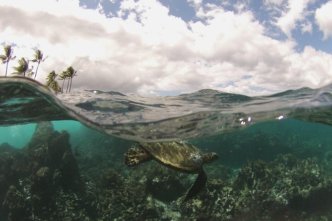 Molokini Crater and South Maui Coast Adventure From Kihei - Inclusions